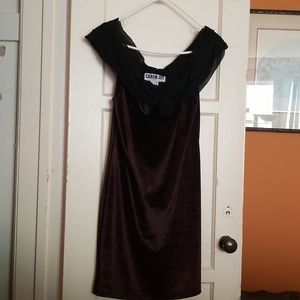 Caron Joy Velvet Dress